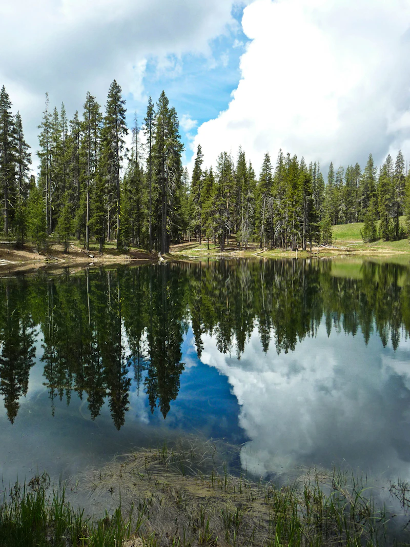 Modoc-NF USFS