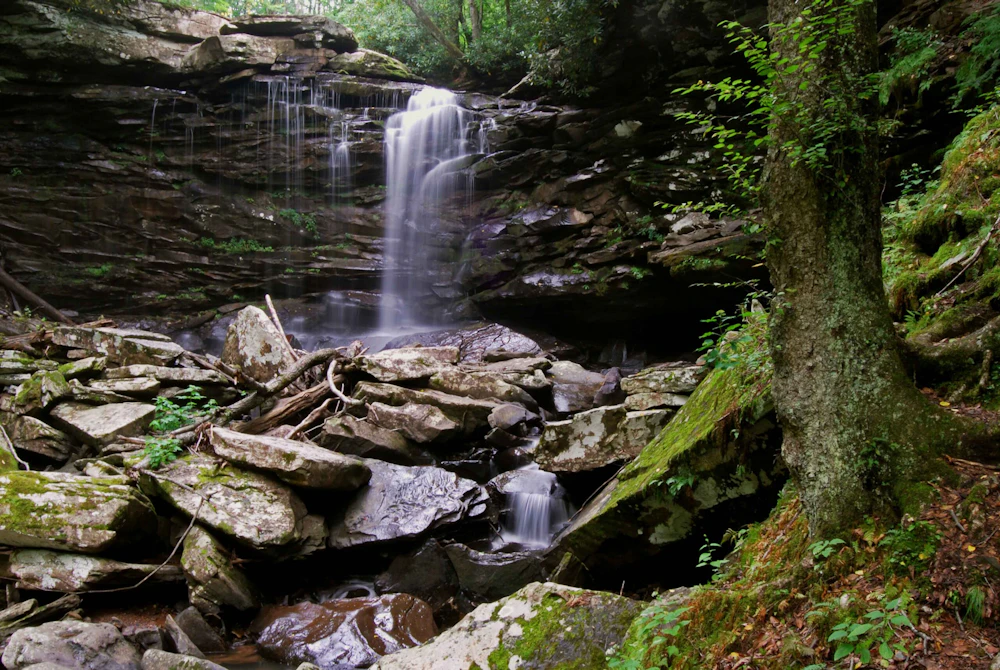 Monogahela-NF Upper-Falls Geoff-Gallice