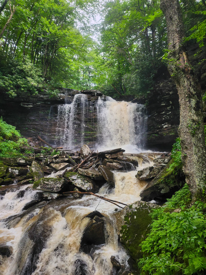 Falls of Hills Creek.