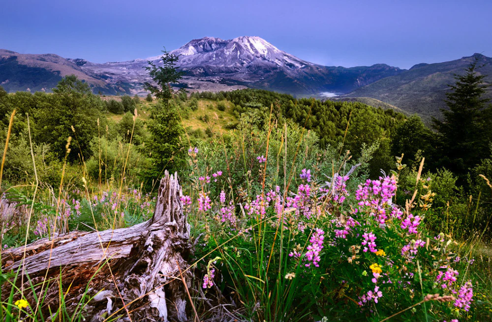 Mount-St.-Helens Bala-SivakumarCreative-Commons