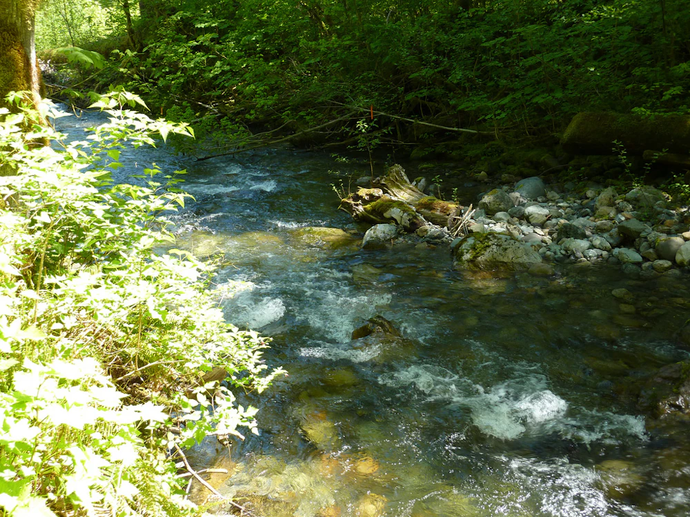 Mountain-Loop Old-Sauk-River Duncan-Watson