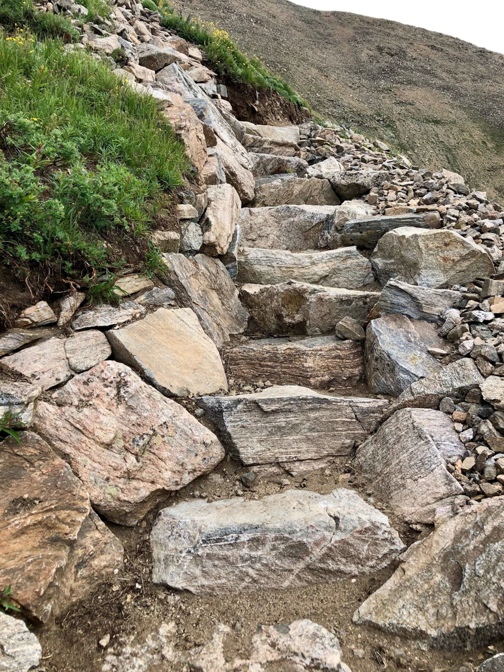 Mt Columbia Photo 3