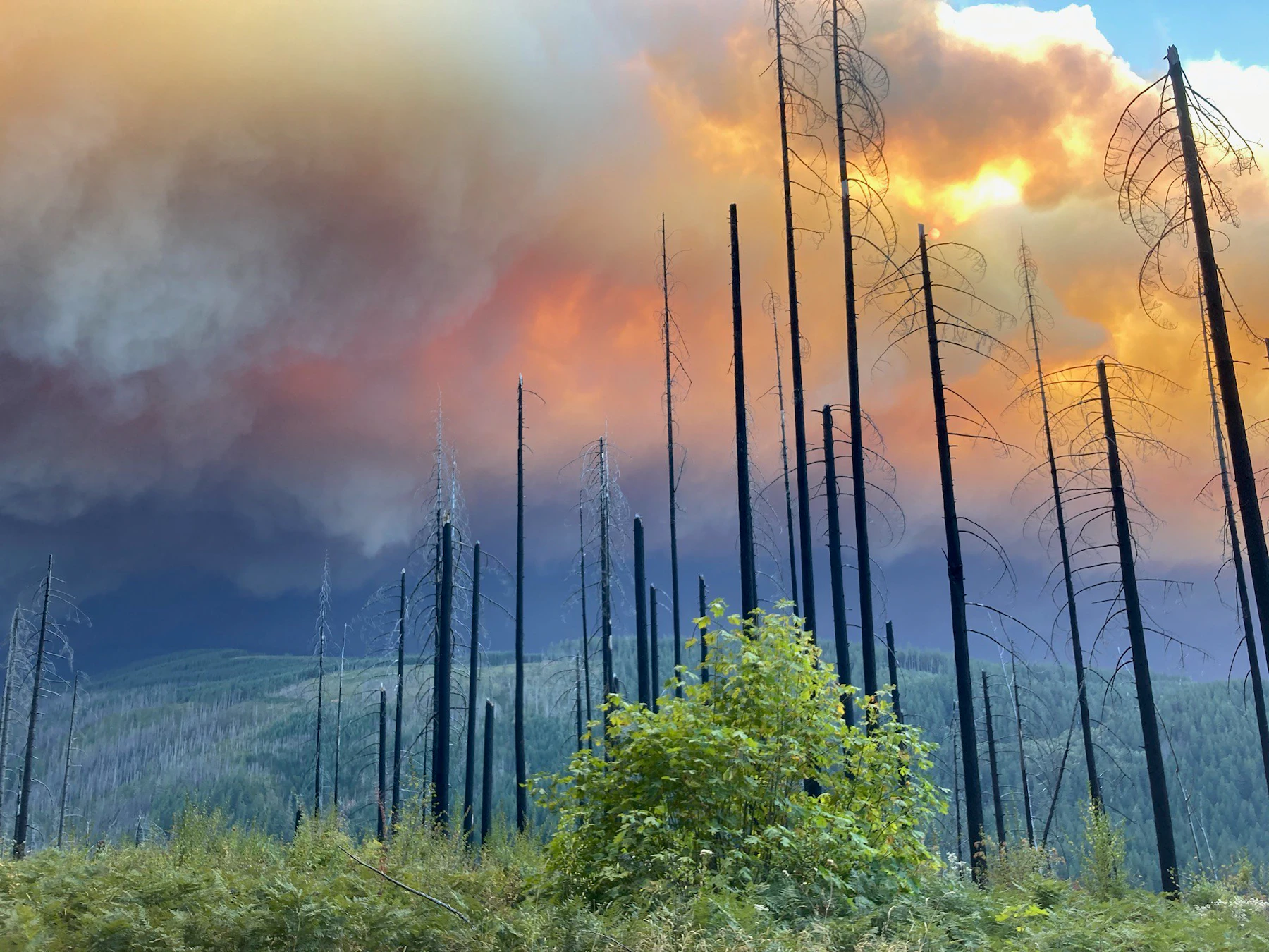 Mt Hood Nf Riverside Fire 2020 Usfs