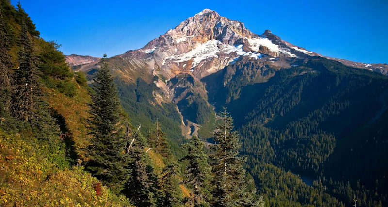 Mt-HoodNF -Bald-Mtn USFS