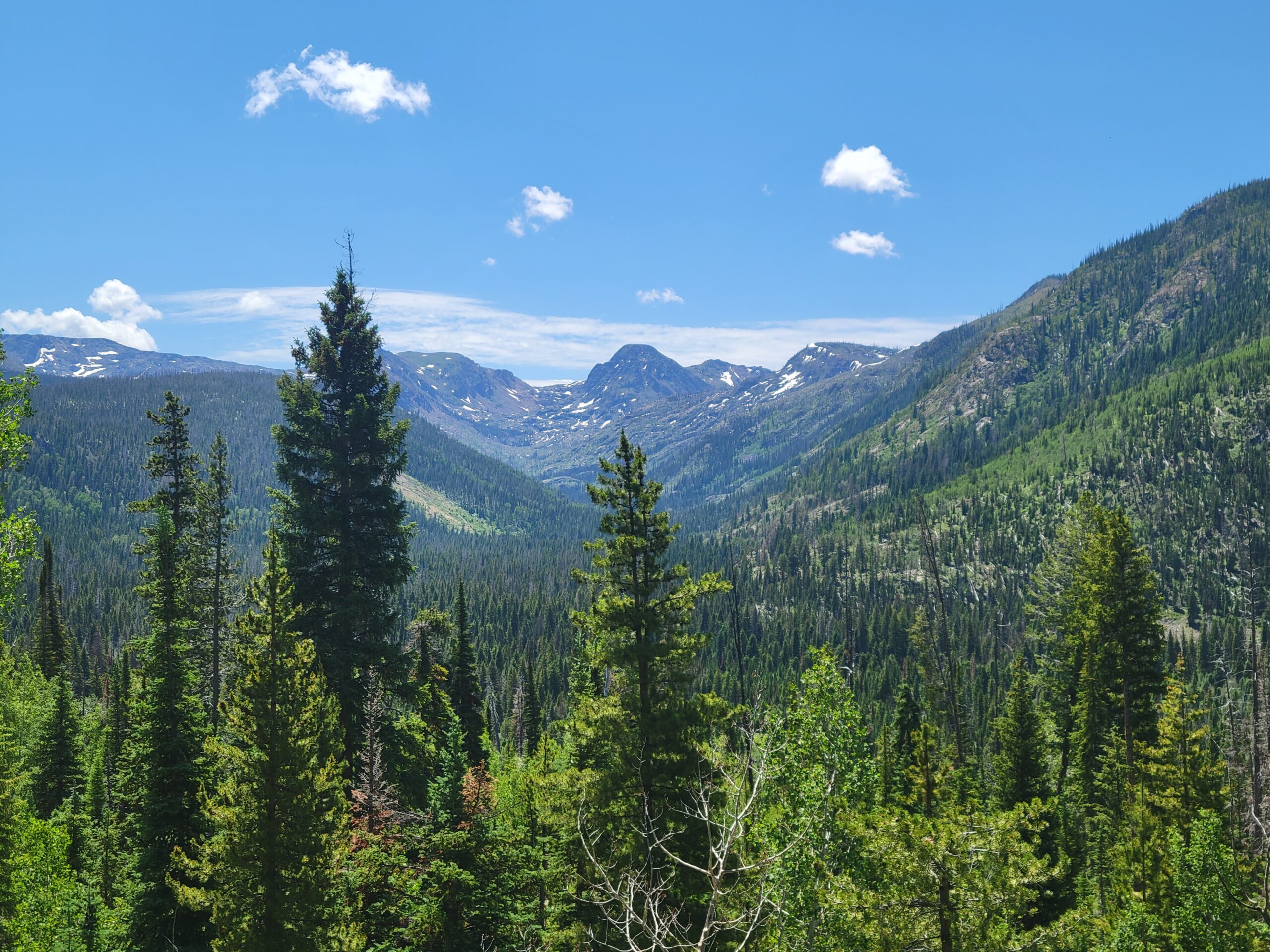 Wooded mountains.