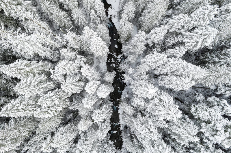 Ariel of creek running through a snowy forest.