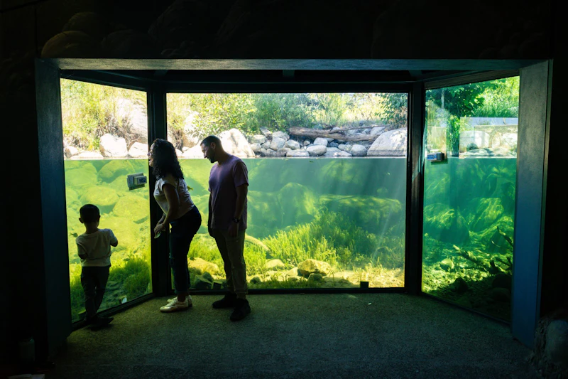 A family views the Stream Profile Chamber at Taylor Creek Visitor Center, gazing through panoramic underwater windows into the living aquatic ecosystem of Taylor Creek