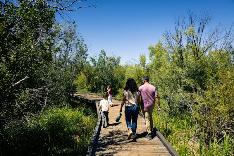 A family walks along a wooden boardwalk trail through lush wetland vegetation at Taylor Creek, experiencing the self-guided multilingual audio tour highlighting Tahoe's ecology and cultural history.
