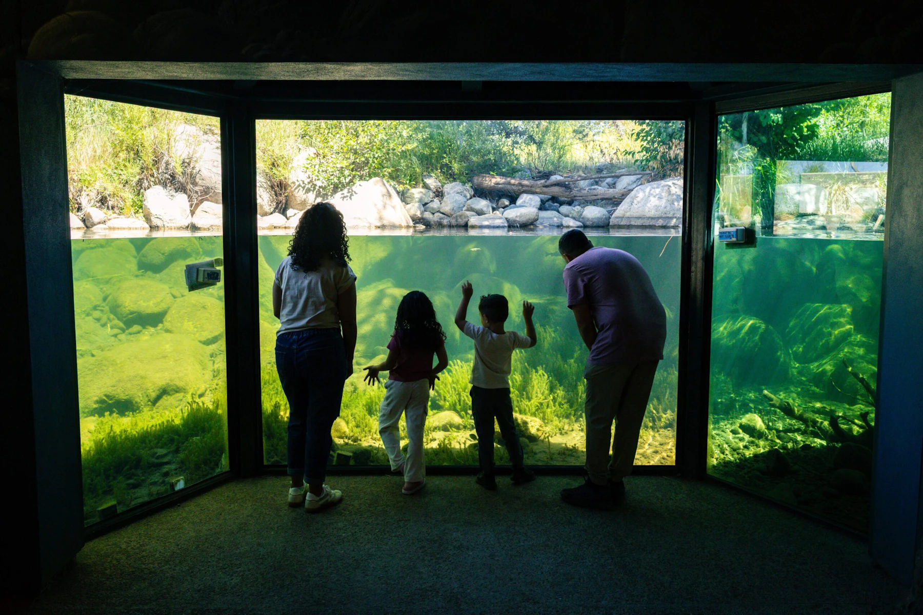 A family gathers at the Stream Profile Chamber at Taylor Creek Visitor Center, watching native fish and aquatic life through an underwater window into Lake Tahoe's living ecosystem.