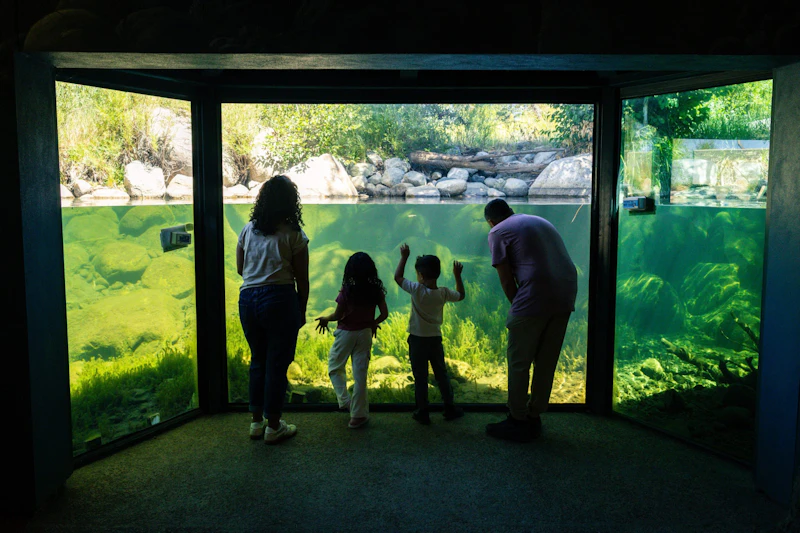 A family gathers at the Stream Profile Chamber at Taylor Creek Visitor Center, watching native fish and aquatic life through an underwater window into Lake Tahoe's living ecosystem.