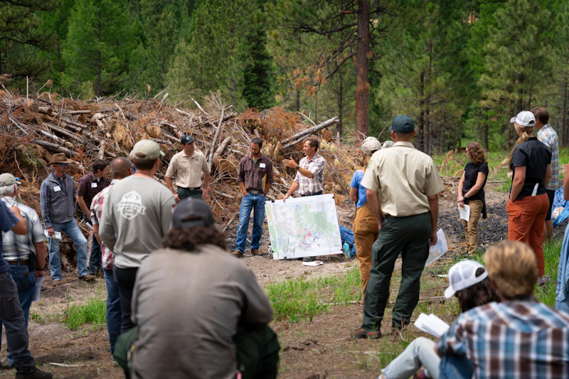 Forest Service staff and partners gather at a project site near Gold Creek for a collaborative planning session, reviewing maps and discussing restoration priorities surrounded by treated timber.