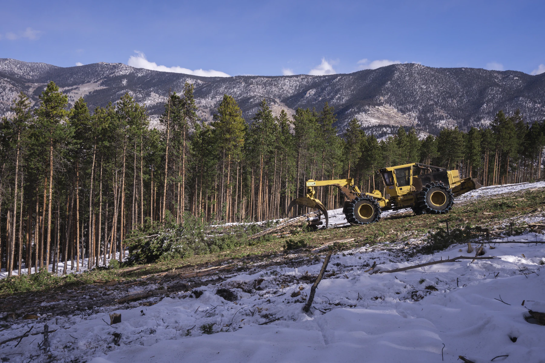 NFF Buena Vista Jan 2023 57