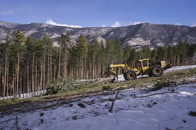 NFF Buena Vista Jan 2023 57