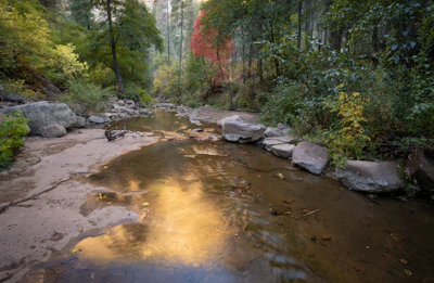 Nff Oak Creek 8496