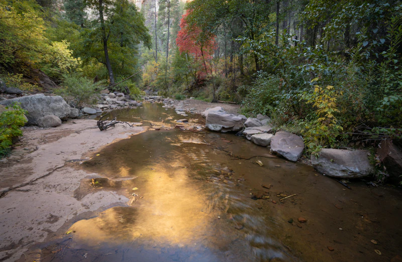 Nff Oak Creek 8496
