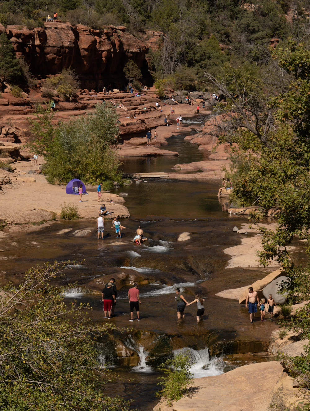 Stewardship in the time of COVID – connecting trails, dirt, and ...