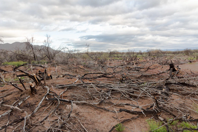 Nff Salt River 022019 1