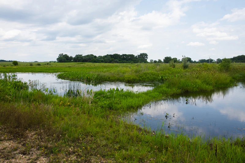Ponds.
