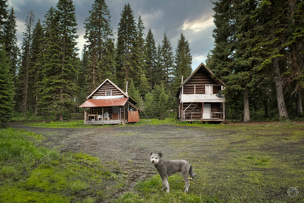 Nez Perce Clearwater NF Adams Ranger Station Terry Musgrove CREDIT 10