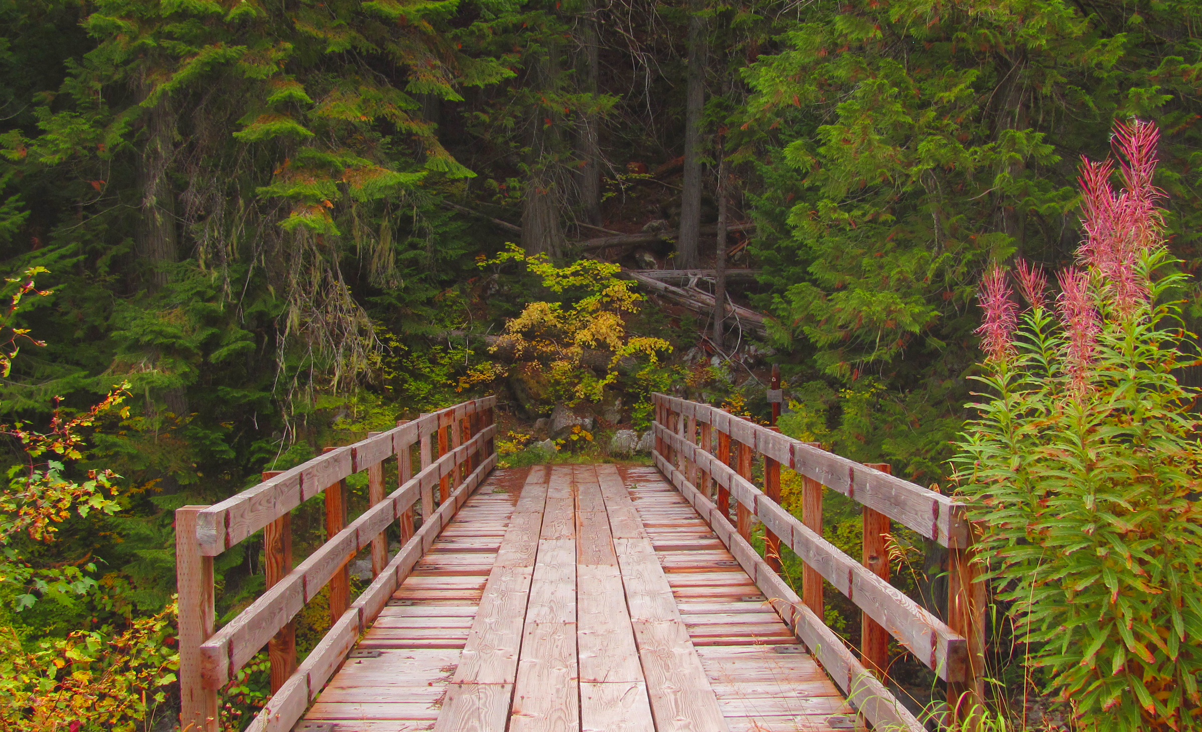 Trail bridge.