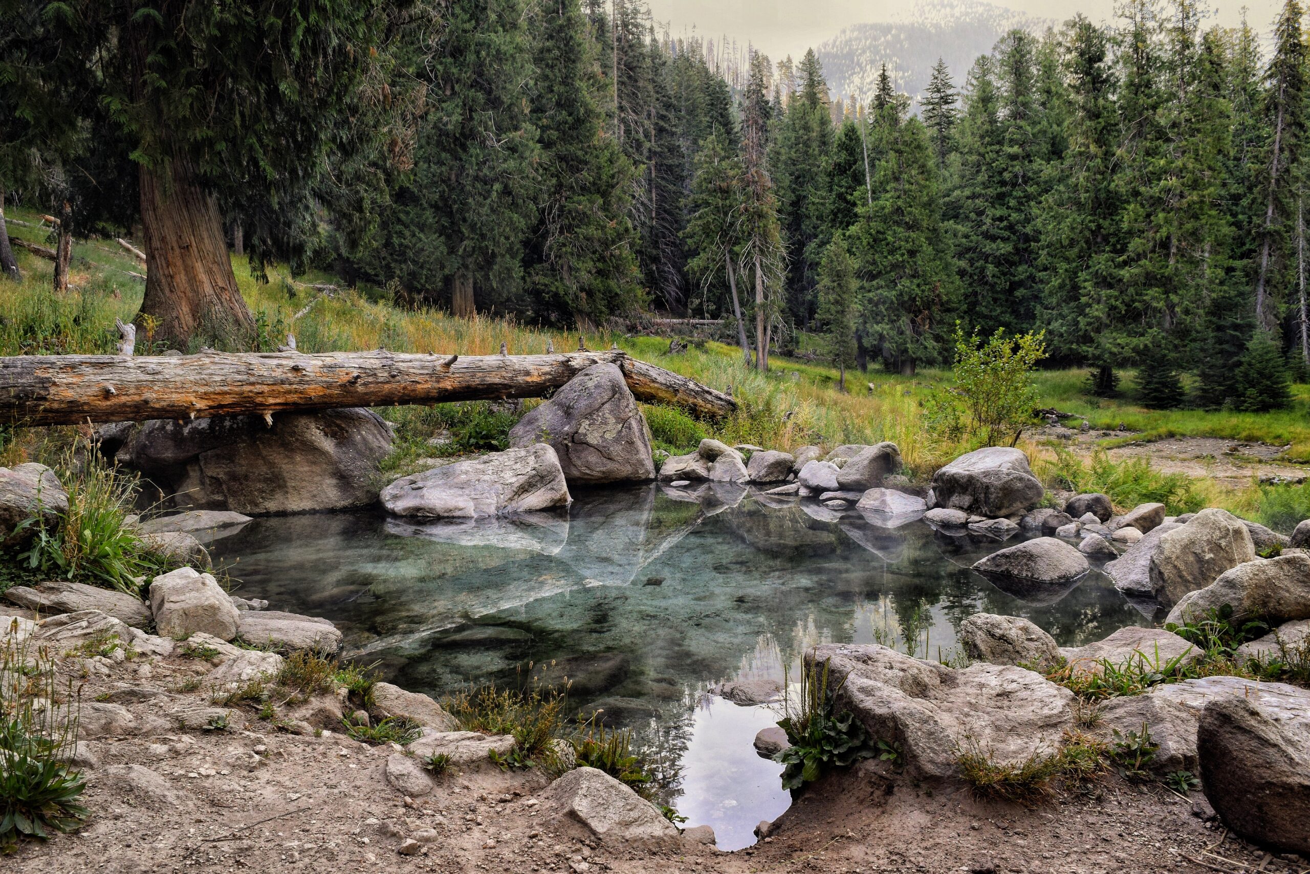 Nez Perce-Clearwater National Forests - National Forest Foundation