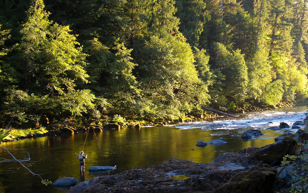 North-Umpqua BLM