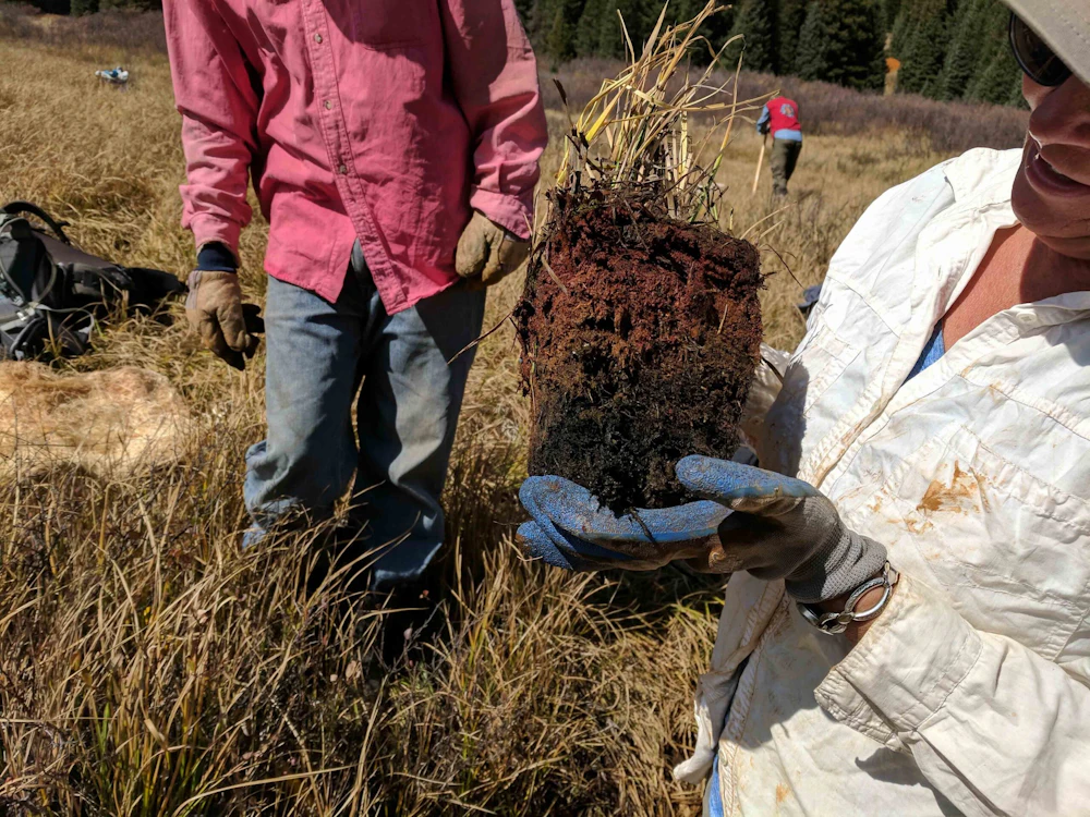 Now Thats A Hydric Soil Profile