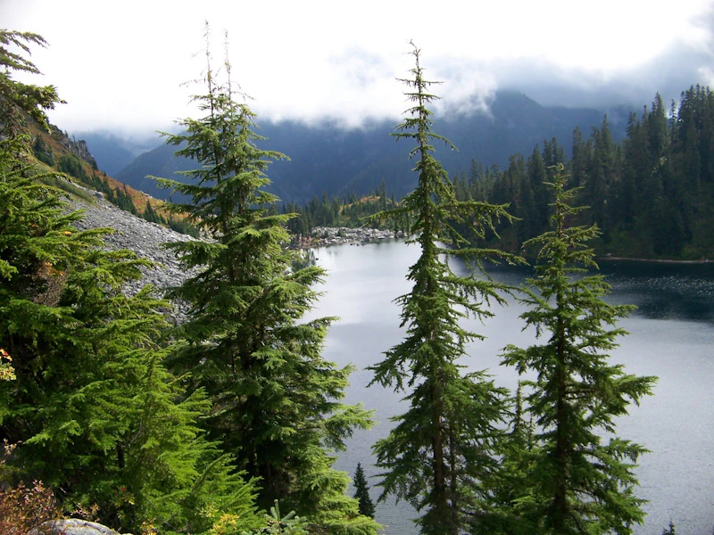OK-WEN-Lake-Vahalla KDG