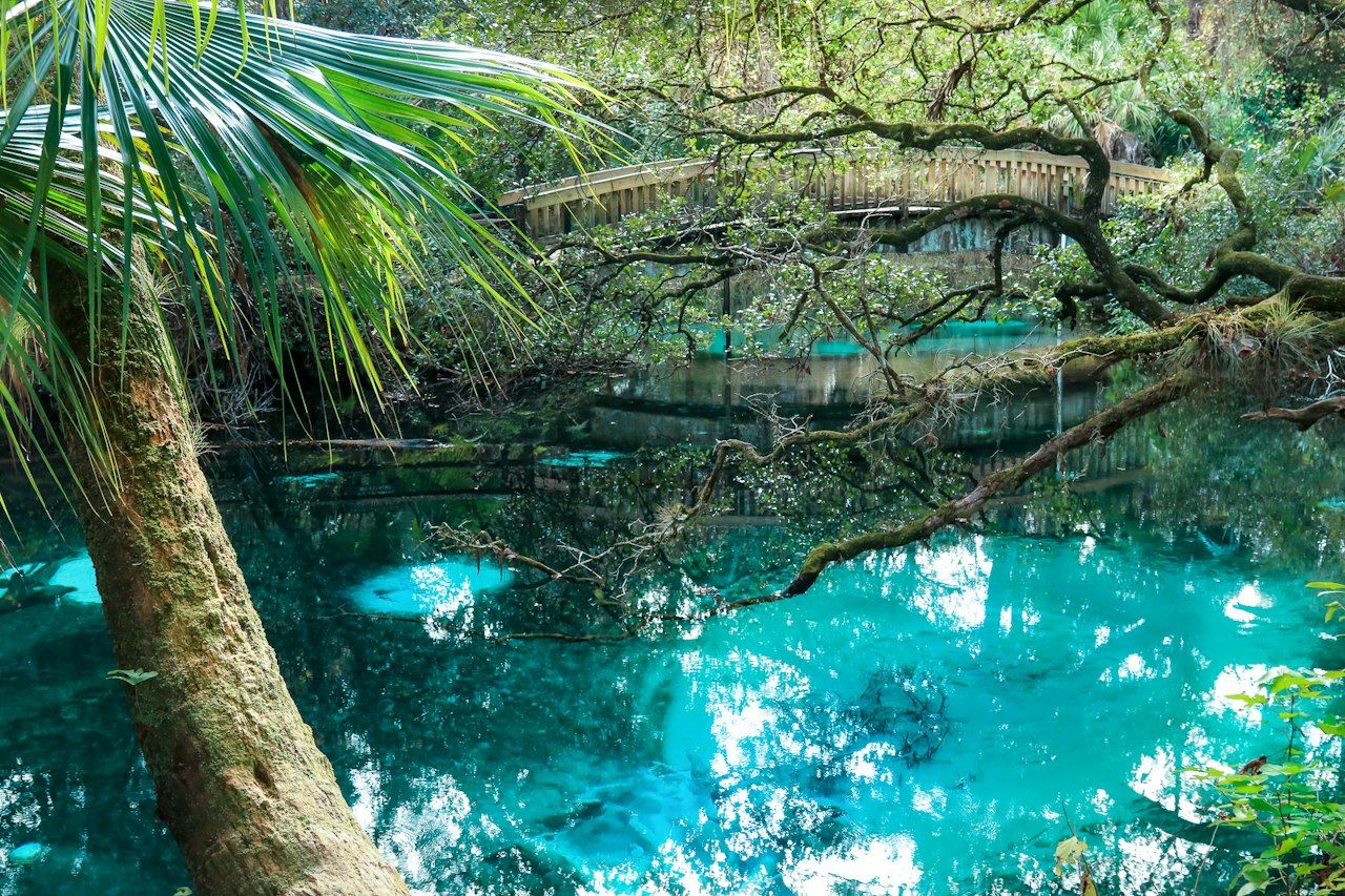 National Forests in Florida — National Forest Foundation