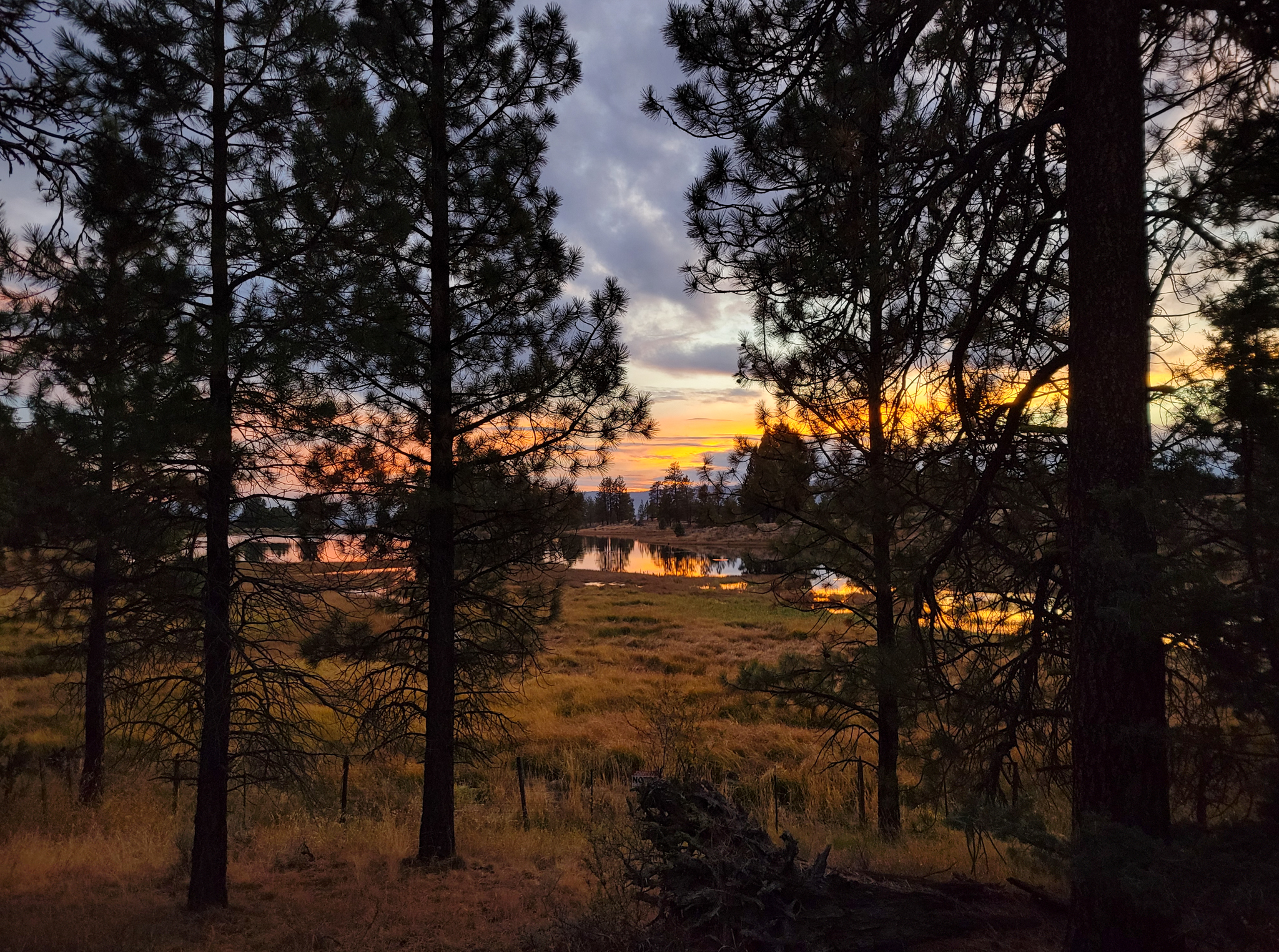 Ochoco National Forest — National Forest Foundation