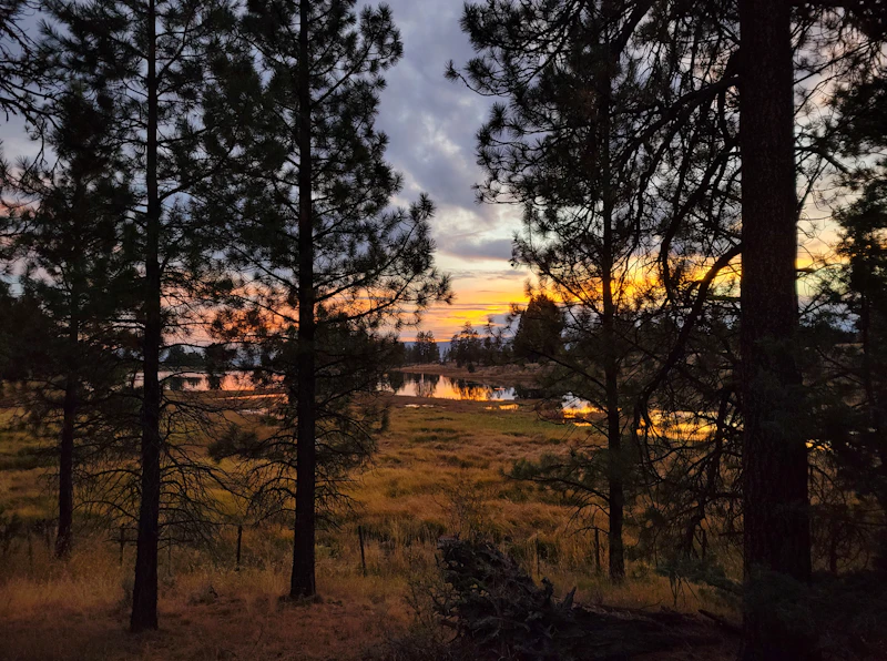 Autumn sunset.