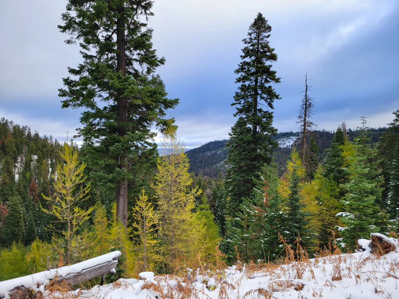 A mix of autumn and winter.