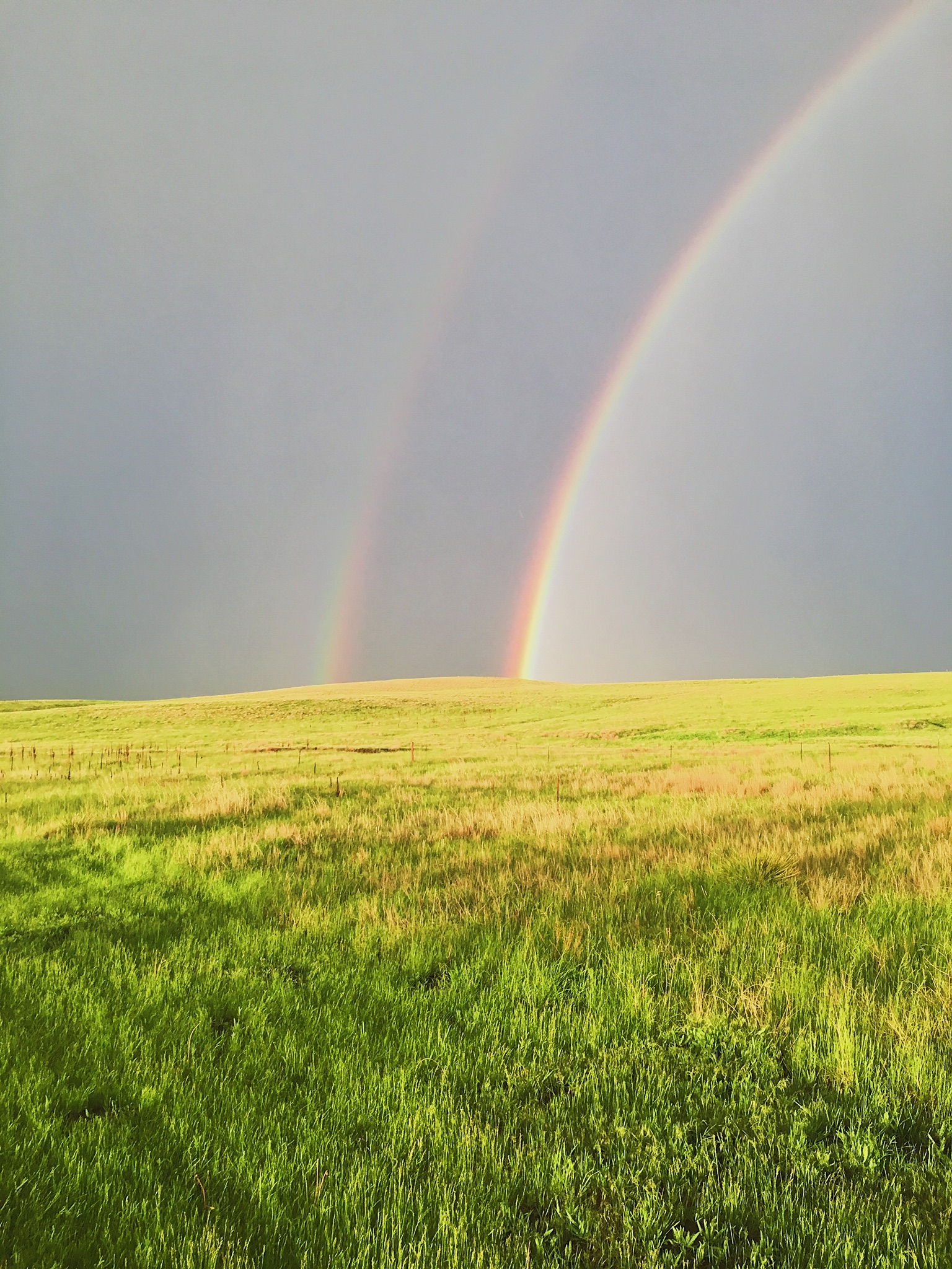 Rainbow.