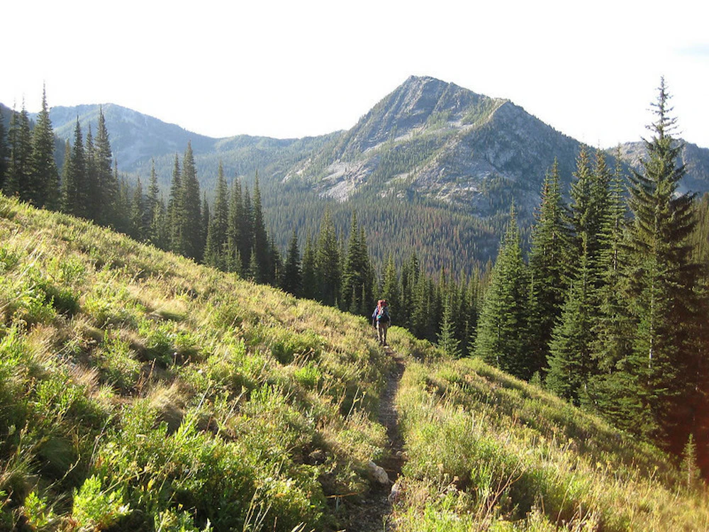 a narrow trail through short grasses in front of a mountain