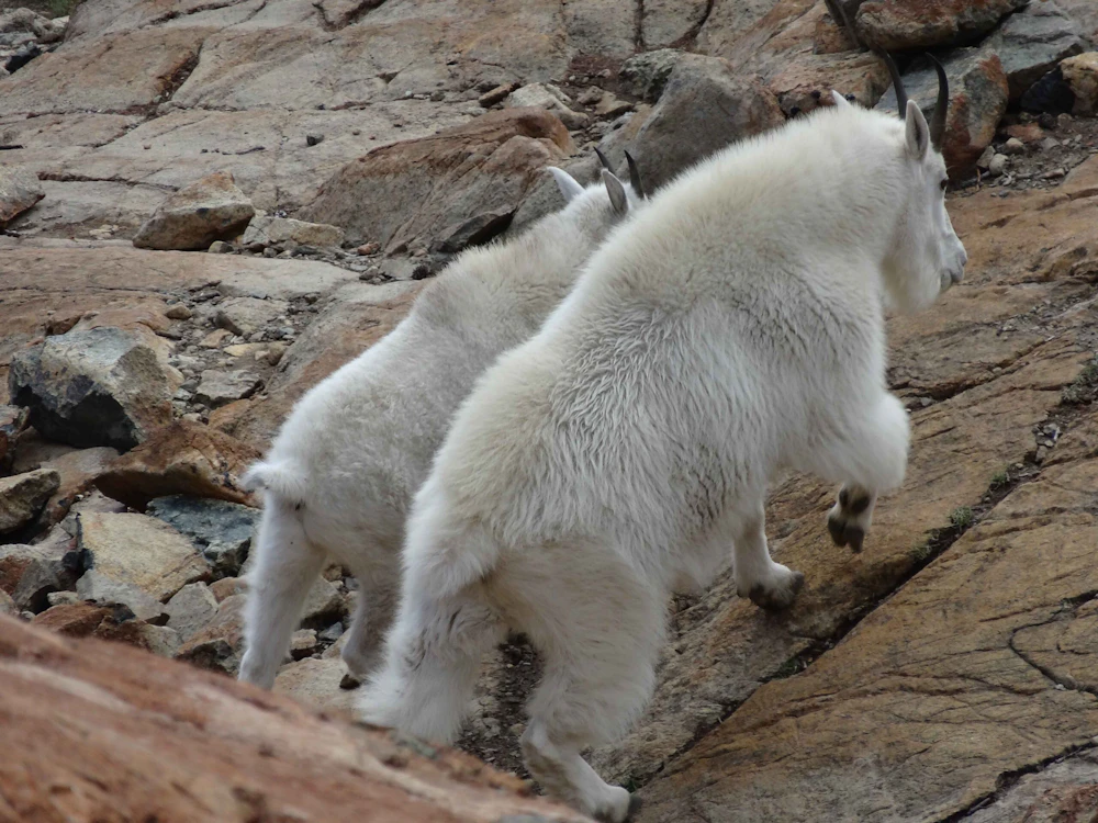 Okanogan-Wenatchee-NF Alpine-Lakes-Wilderness Traute-Parrie2 small