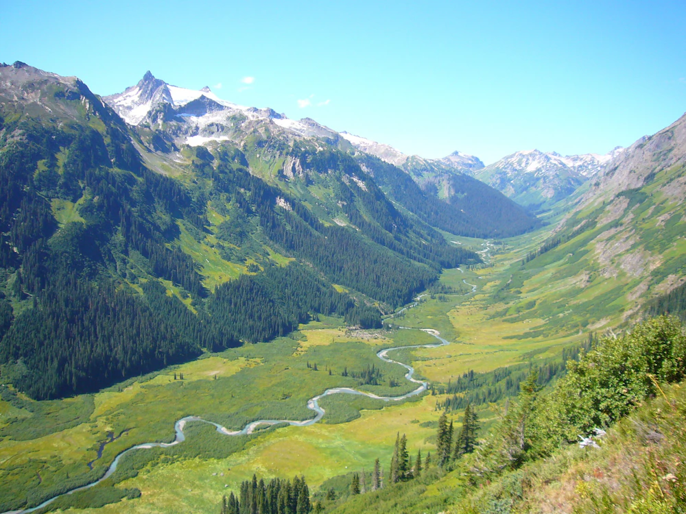 Okanogan-Wenatchee-NF Napeequa-Valley Martin-Bravenboer