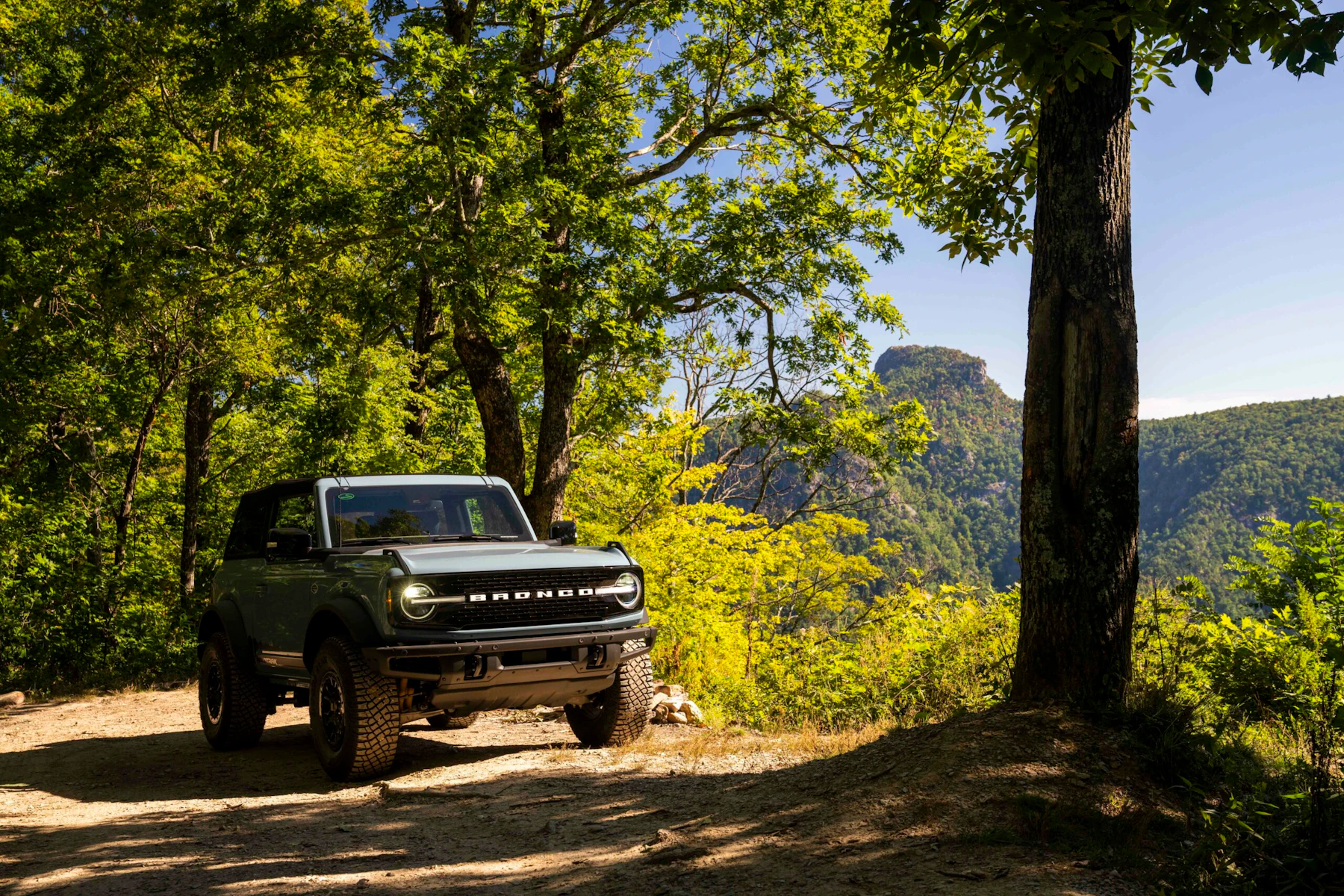 vehicle on a dirt road in the forest