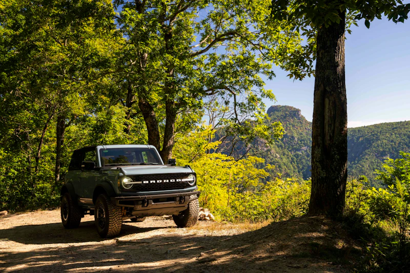 vehicle on a dirt road in the forest