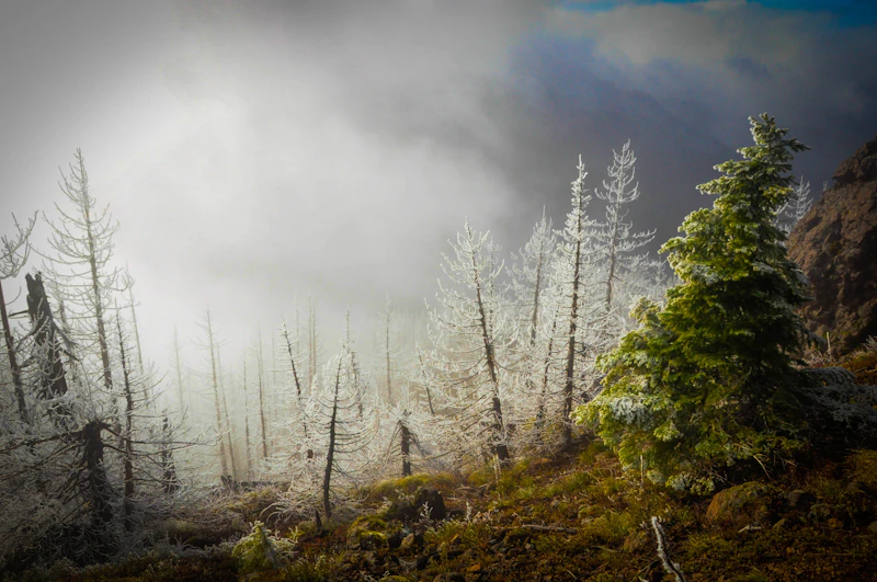 Olympic-NF Adventurers-and-Scientists-for-Conservation-2