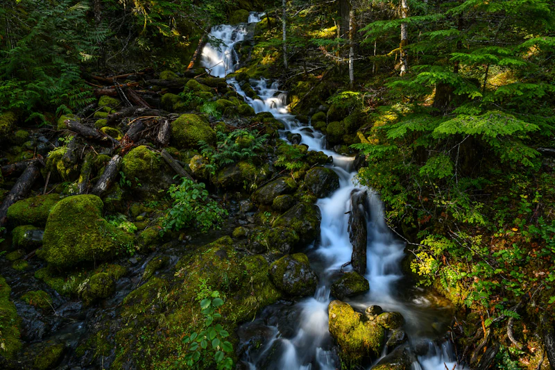 Small waterfall below Lena Lake, Olympic National Forest, Washington.
