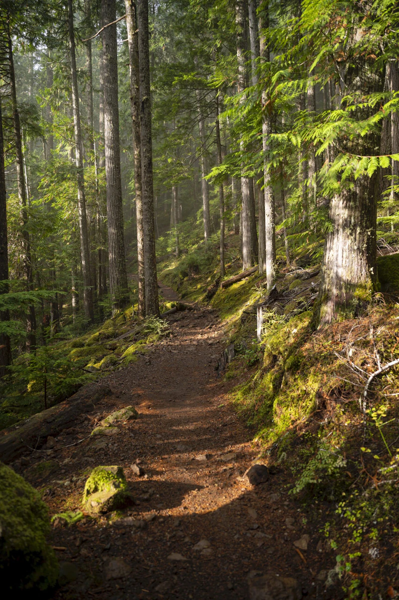 Morning hike to Lena lake.