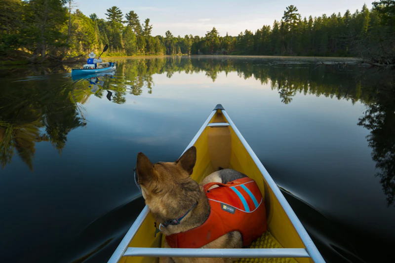 Dog sits in the front of a kayak on a glassy lake.