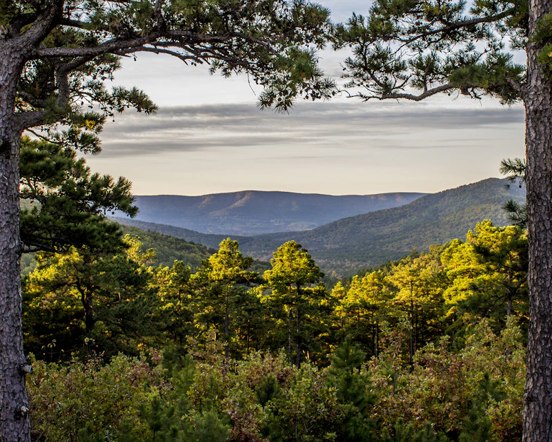 Ouachita Mountains.