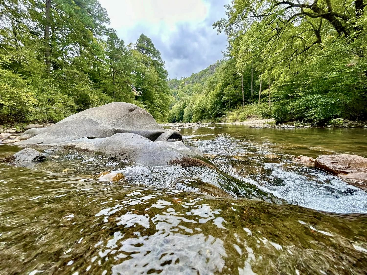 Ouachita National Forest — National Forest Foundation