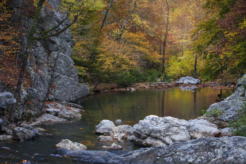 Fall colors reflected in a pond.
