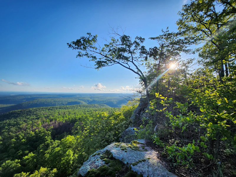 View of the Ozark Mountains from a rocky bluff.