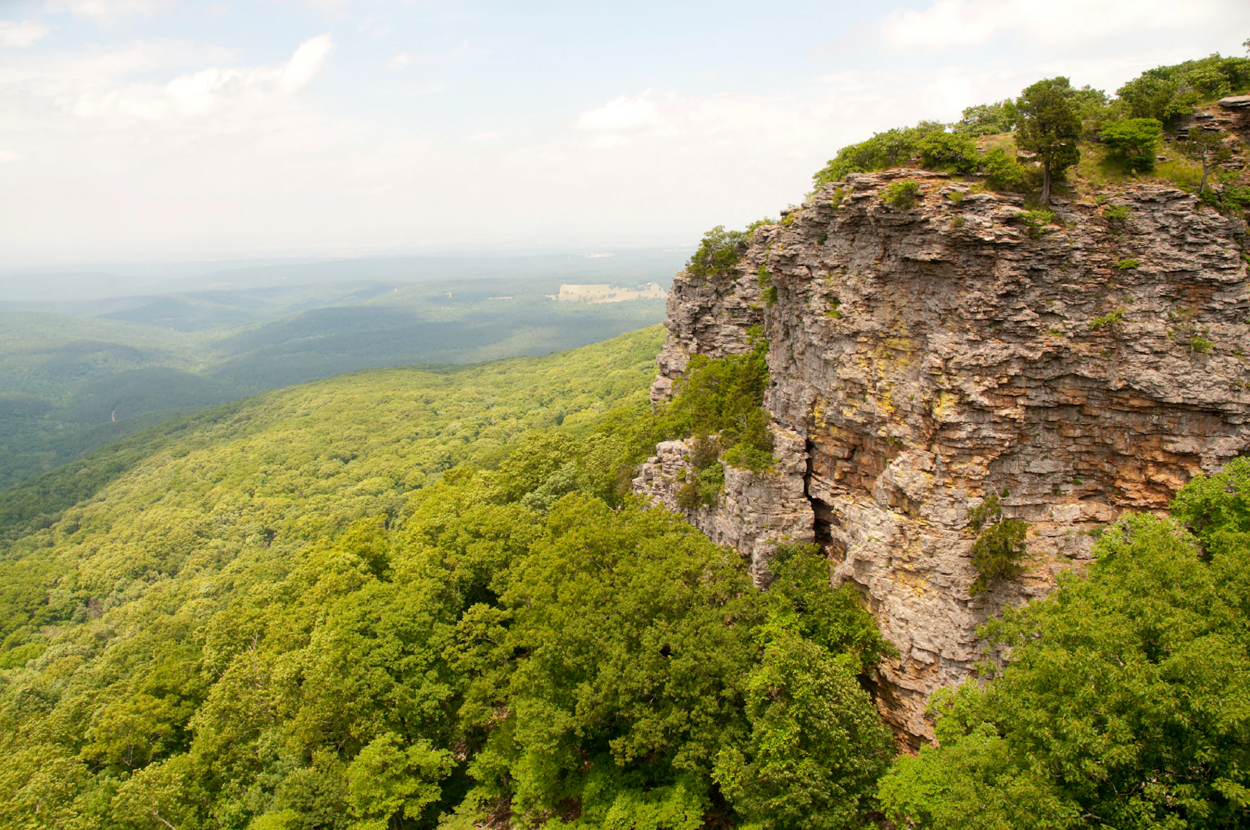 Ozark National Forest Istock