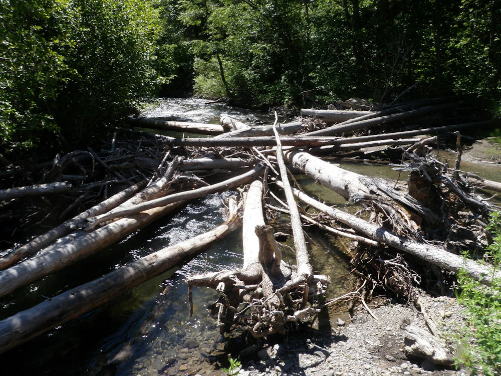 P2060074r