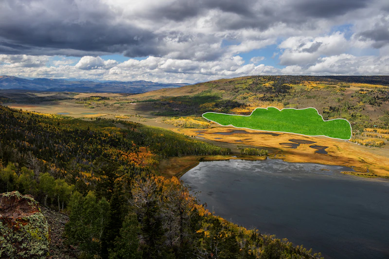 Pando Land Mass Updated June 25