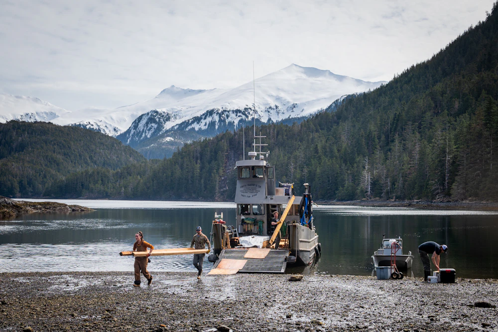 Partners Offload Lumber For Renovations At Kanga Bay Cabin 2 Lione Clare